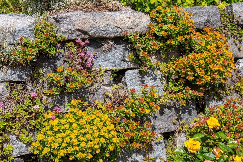 mur de fleurs